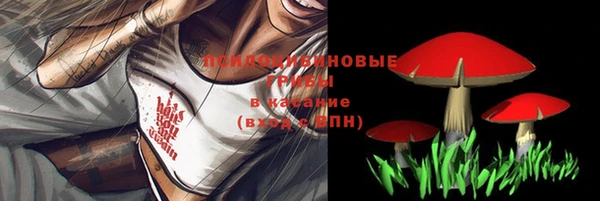 молекула духа Володарск