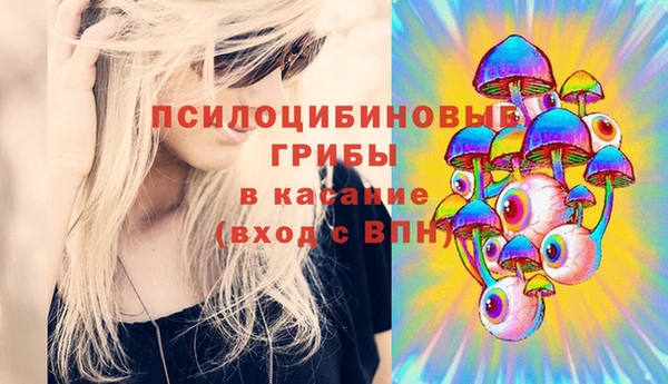 молекула духа Володарск