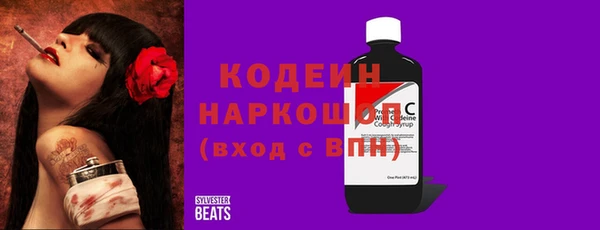 индика Верхний Тагил