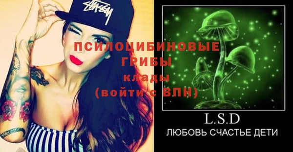 СК Волосово