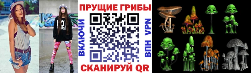 hydra ССЫЛКА  закладка  Назарово  Псилоцибиновые грибы Psilocybine cubensis 